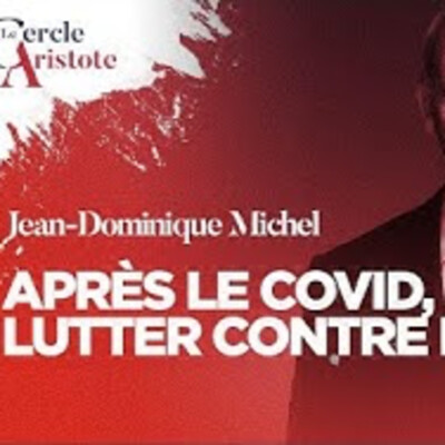Autopsie de la crise sanitaire - J.D. Michel - # politique cover