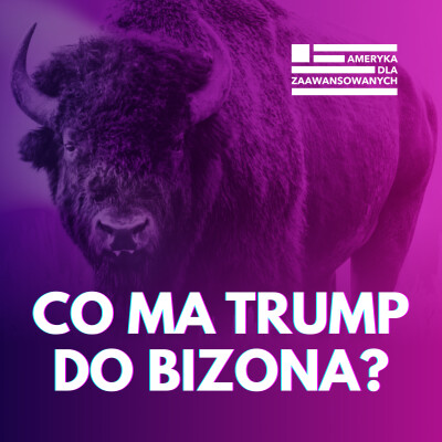 Czy BIZON PRZETRWA TRUMPA? Jak preria w Montanie stała się nowym elementem wojny politycznej. cover