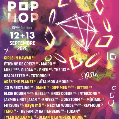 DIG DIG DIGGERS AUX BARS EN TRANS 6/6 cover