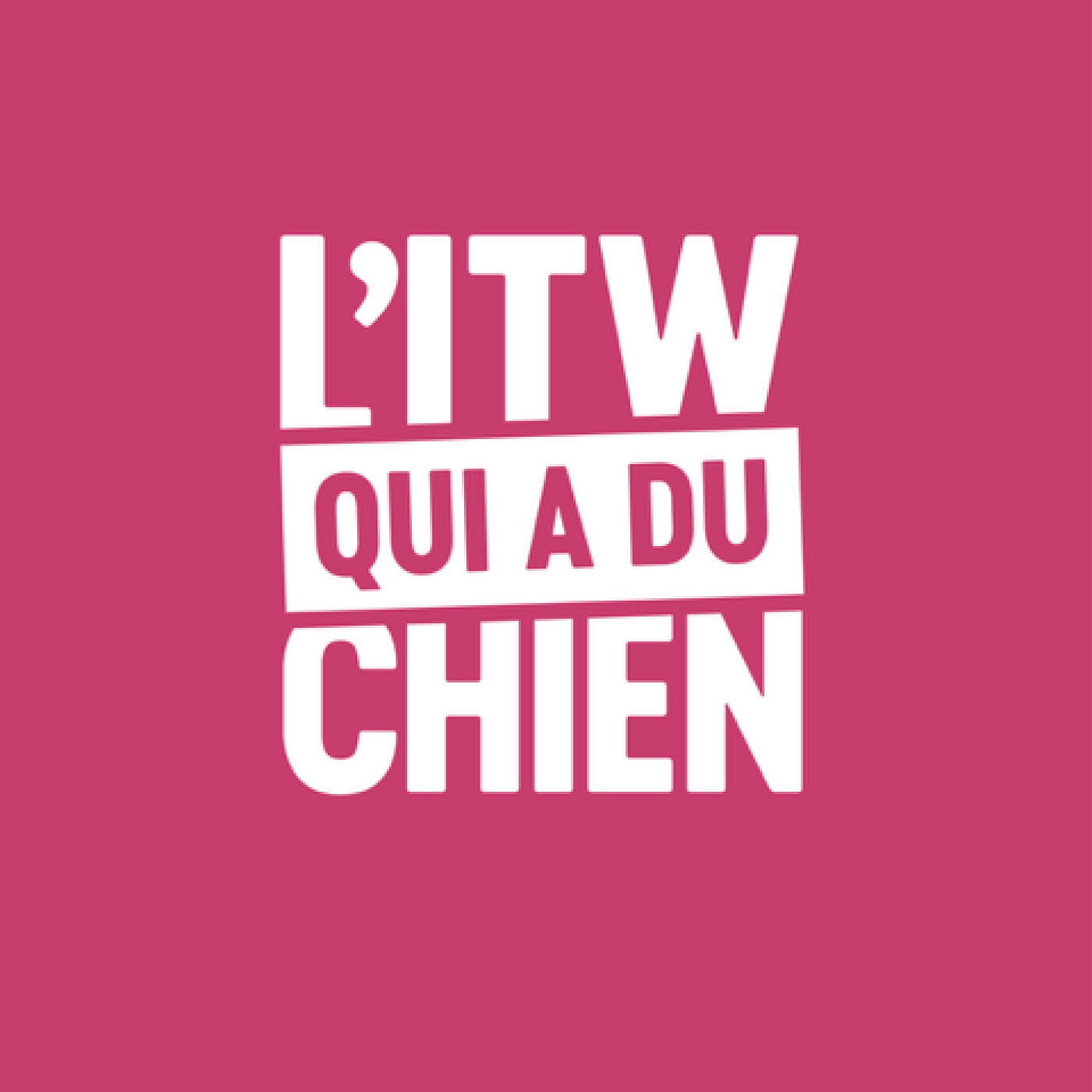 L'interview qui a du chien