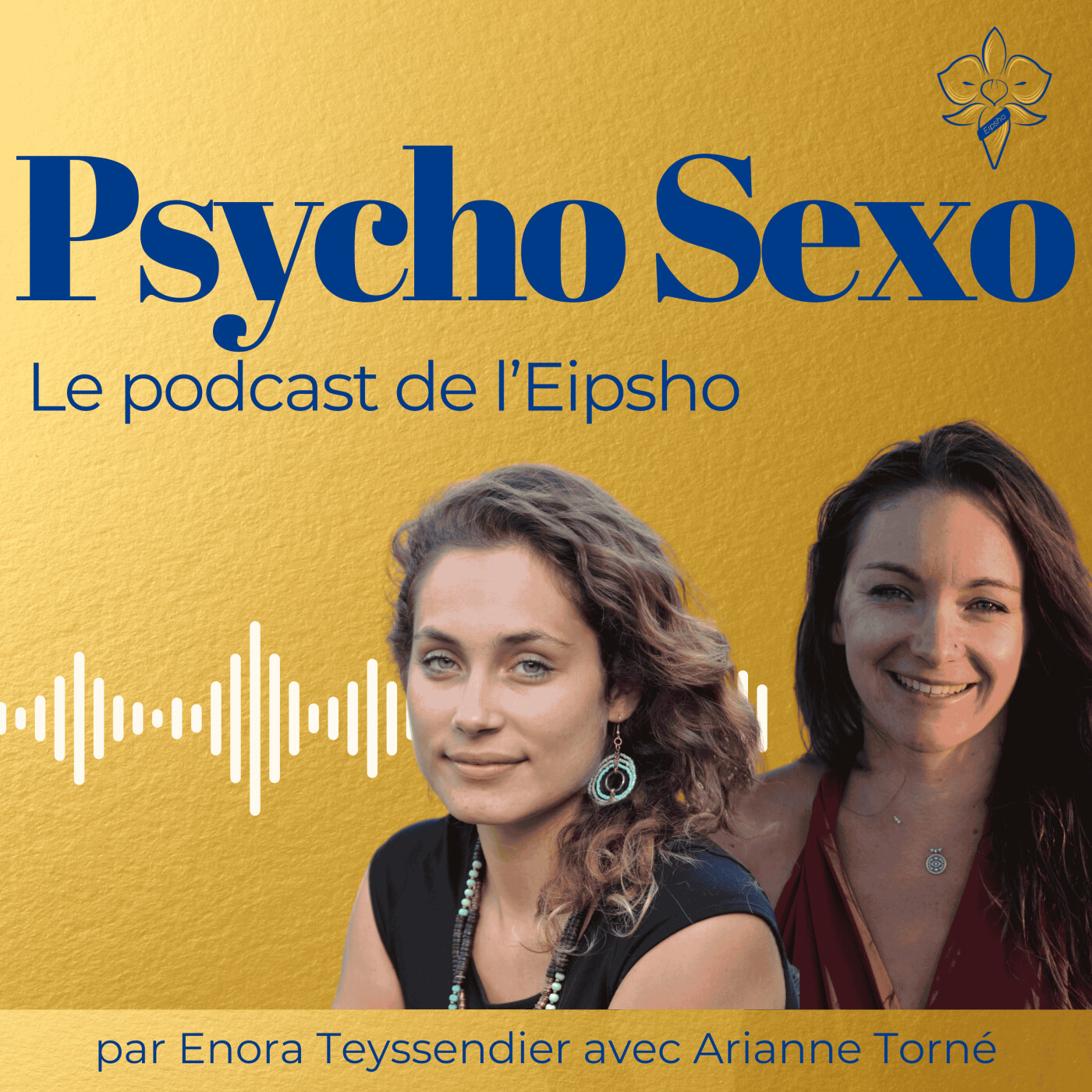 Psycho Sexo - clefs et outils pour accompagner la sexualité et lever les tabous