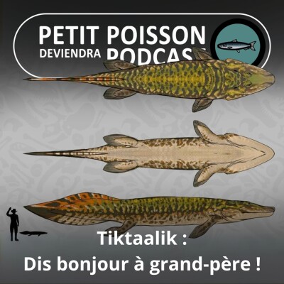 S05E09 Tiktaalik : un grand-père barboteur cover