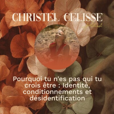 Pourquoi tu n'es pas qui tu crois être : Identité, conditionnements et désidentification cover