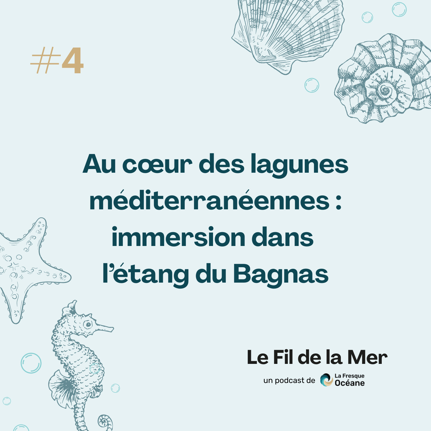 #4 Au cœur des lagunes méditerranéennes : immersion dans l’étang du Bagnas #4 Au cœur des lagunes méditerranéennes : immersion dans l’étang du Bagnas