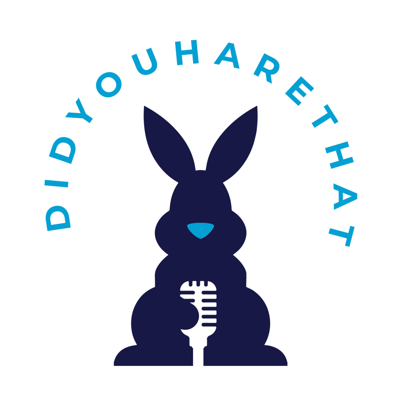 didyouharethat episode artwork