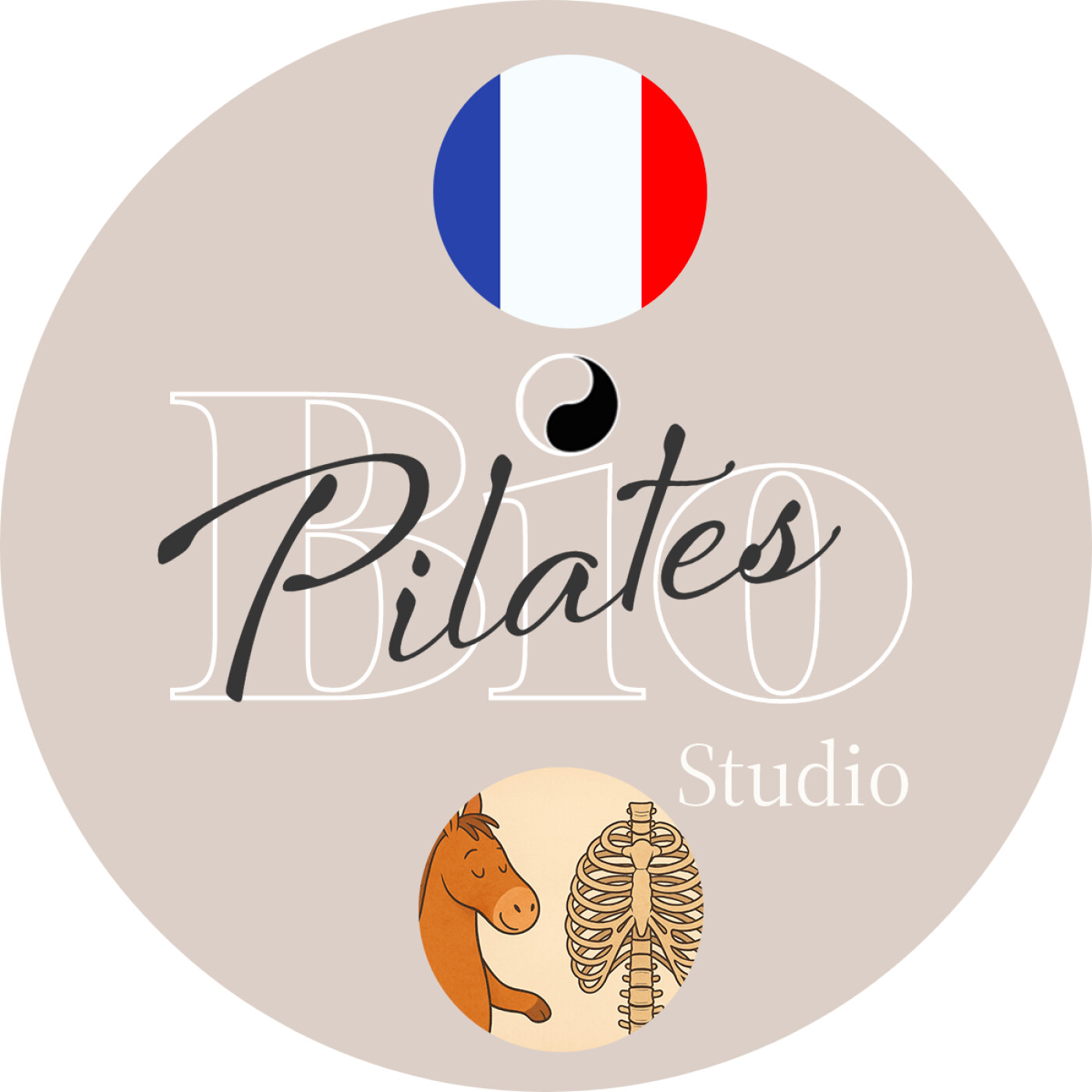 🇫🇷 🐴  La Cage Thoracique chez Stott Pilates : Anatomie, Souffle et Mouvement episode artwork
