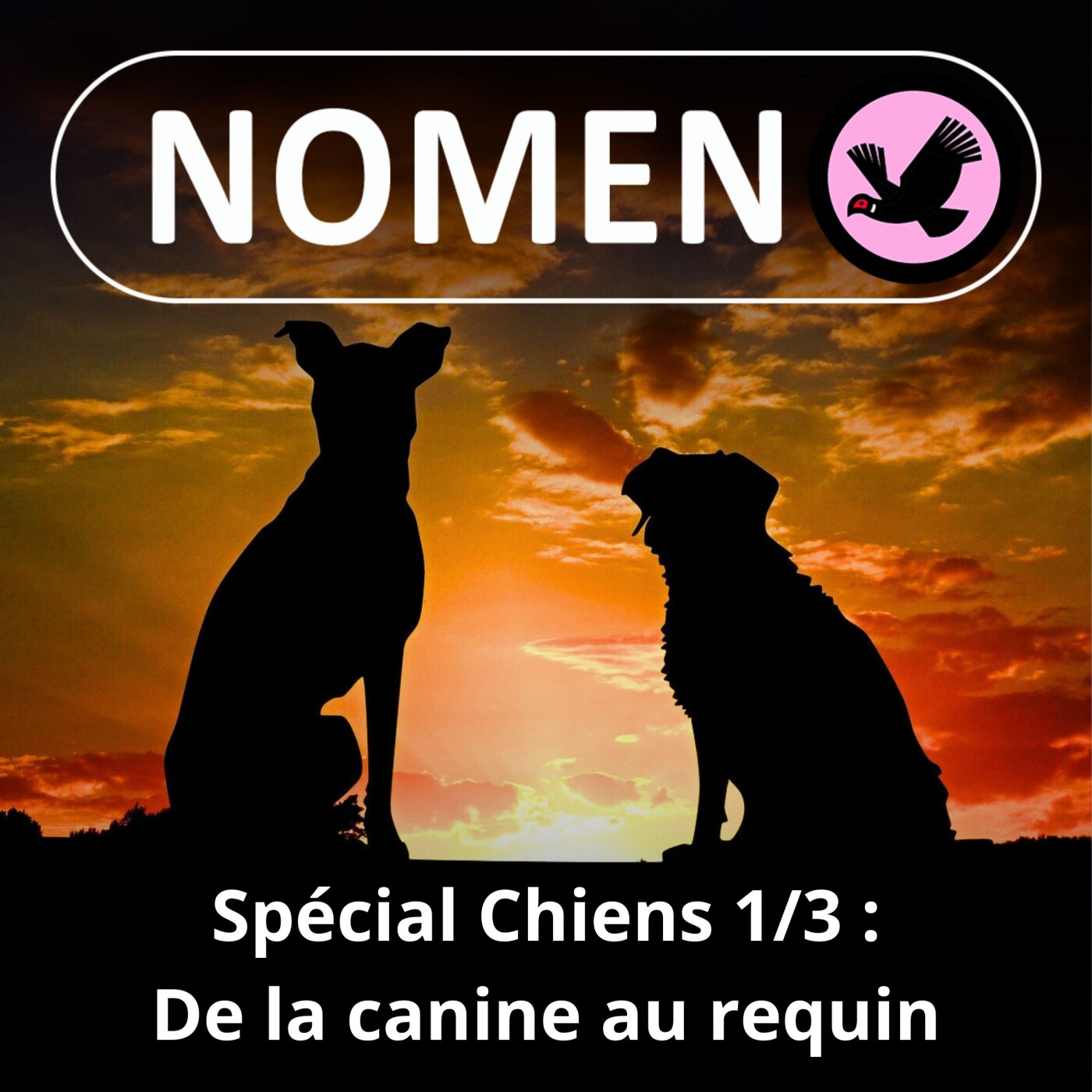 SPÉCIAL Chiens 1/3 : De la canine au requin en passant par la chenille...