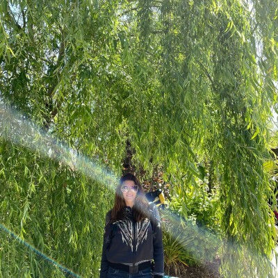 Tant qu'il y aura des Arbres S01E26 – Justine Andanson cover