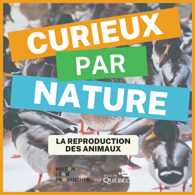 Curieux par Nature: La reproduction des animaux cover