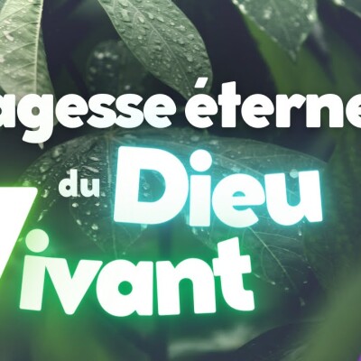 Parole et Évangile du jour | Dimanche 3 mars • Challenge de foi & Miséricorde cover