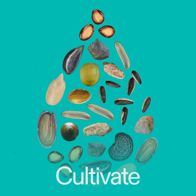 9/8/24 CULTIVATE | Comforter/Counselor | Tory Mayo cover