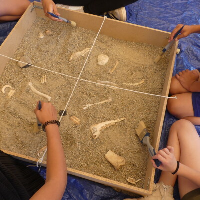 Elisabeth Pereira, géologue, à l'école Simone Veil cover