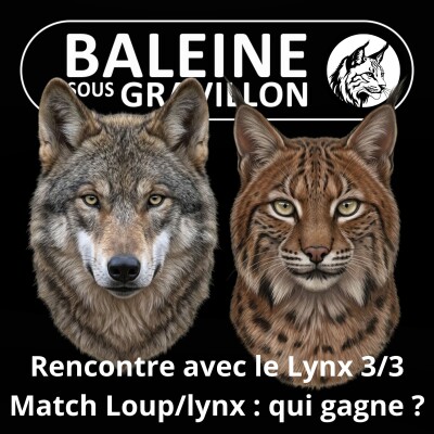 S06E61 Ma recontre avec le Lynx 3/3 : L'étonnant gagnant du match Loup/Lynx (Laurent Geslin) cover