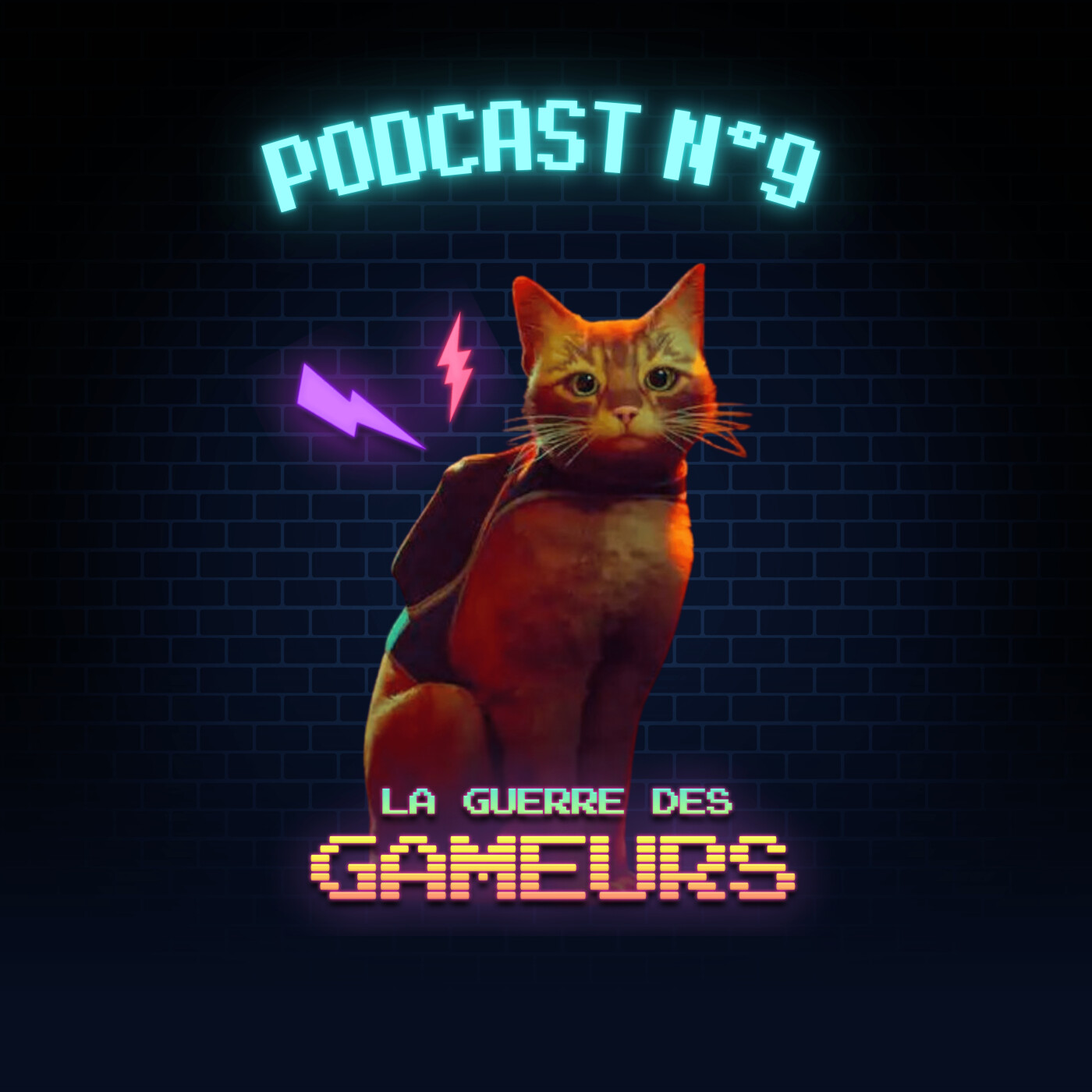 Episode 09 - Stray