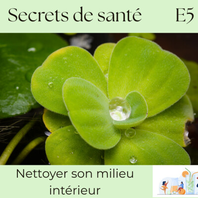 Nettoyer son milieu intérieur – Le secret vital pour une santé durable - S7E5 cover