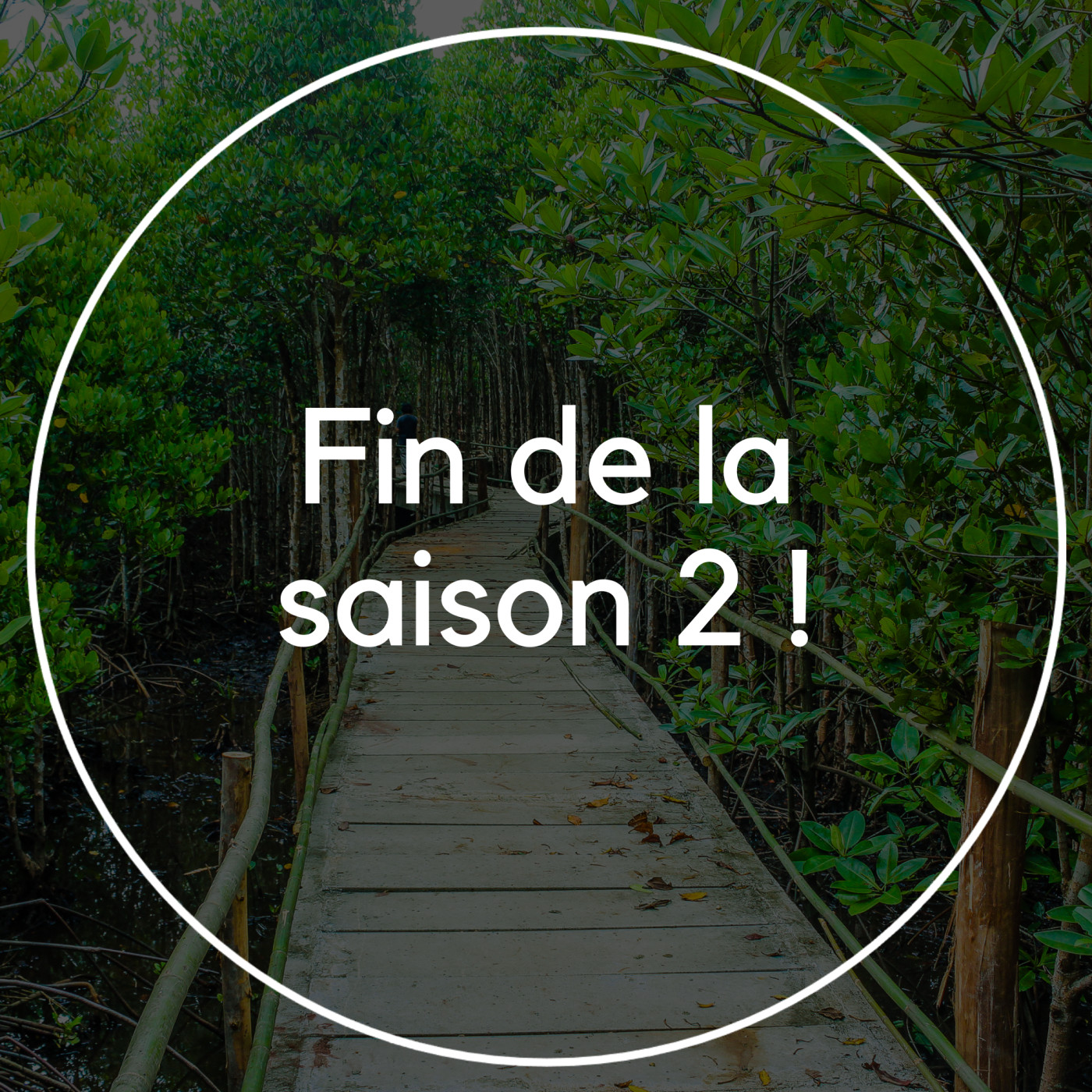 Rendez-vous en terre digitale