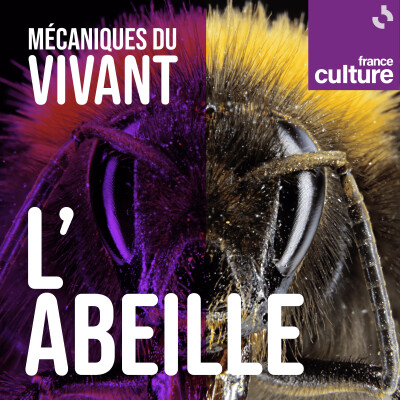 Mécaniques du vivant, saison 4 : Les Abeilles sauvages cover
