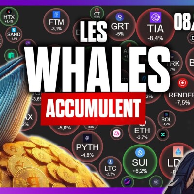 🚀Suivre l'ARGENT : l'accumulation est en cours sur bitcoin !  -  08/08/2024 cover