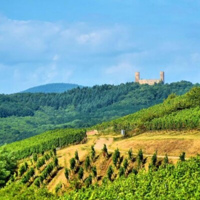 Au Pays de Barr changeons notre agriculture pour le futur ! cover