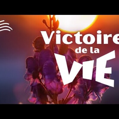 Parole et Évangile du jour | Mardi 16 septembre • Les hymnes du Seigneur + Neuvaine cover