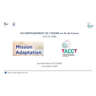 Quel accompagnement des acteurs franciliens ? cover