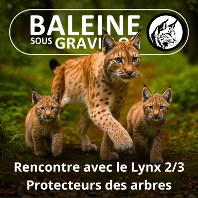 S06E60 Ma recontre avec le Lynx 2/3 : Ces lynx qui font pousser des arbres... (Laurent Geslin) cover