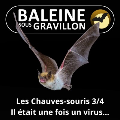 S02E27 Les Chauves-souris 3/4 : Il était une fois un virus chinois cover
