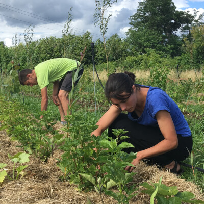 #4 Lucile, maraîchère de l'Ecole d'Agroécologie Voyageuse cover