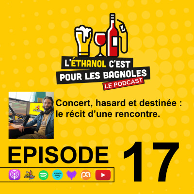 Concert, hasard et destinée : le récit d’une rencontre. cover