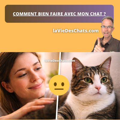 COMMENT BIEN FAIRE AVEC MON CHAT ? cover