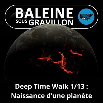 S06E62 La Marche du temps profond 1/13 : Naissance d'une planète cover