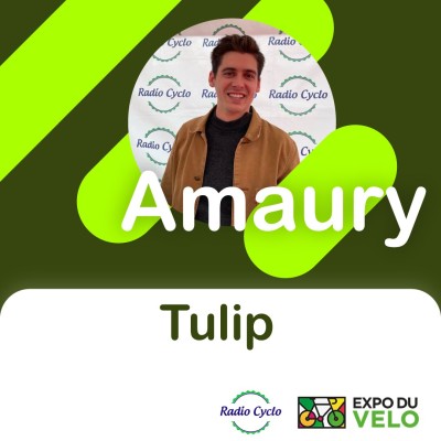 Amaury - Tulip cover