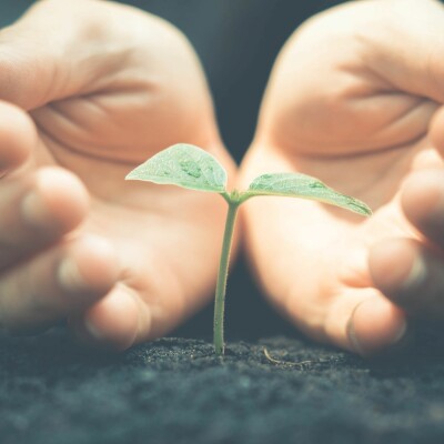 Episode #62 - {Rentrée 2019} La petite graine à l'intérieur de vous... cover