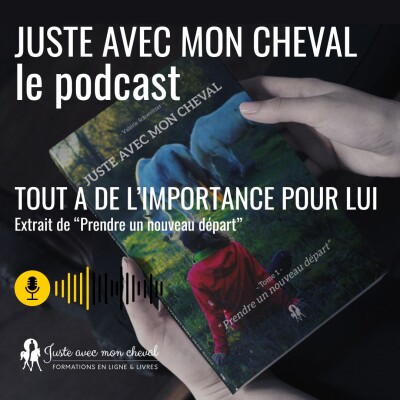 Tout a de l'importance pour lui cover