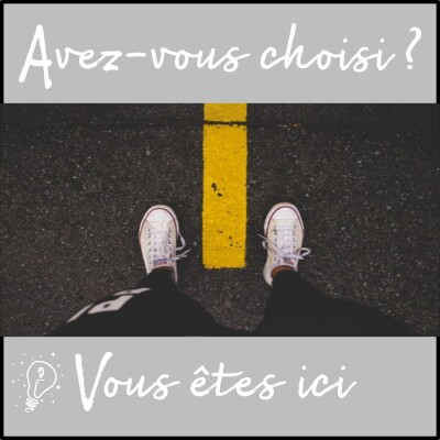 Avez-vous choisi ? - Episode 005 - Vous êtes ici cover