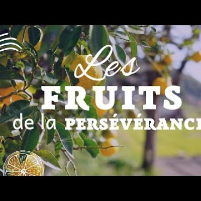 Écoute : Parole et Évangile du jour | Samedi 17 septembre • Nos pierres et nos ronces cover