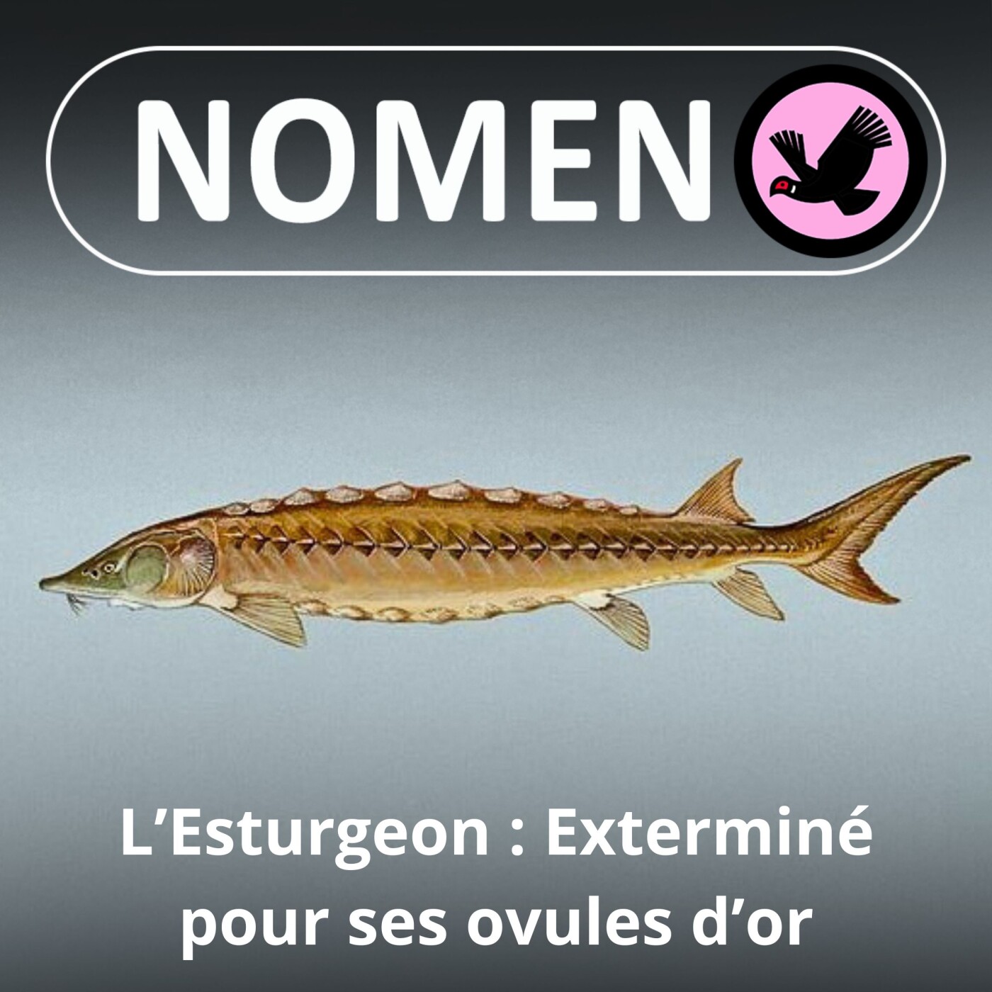 Nomen