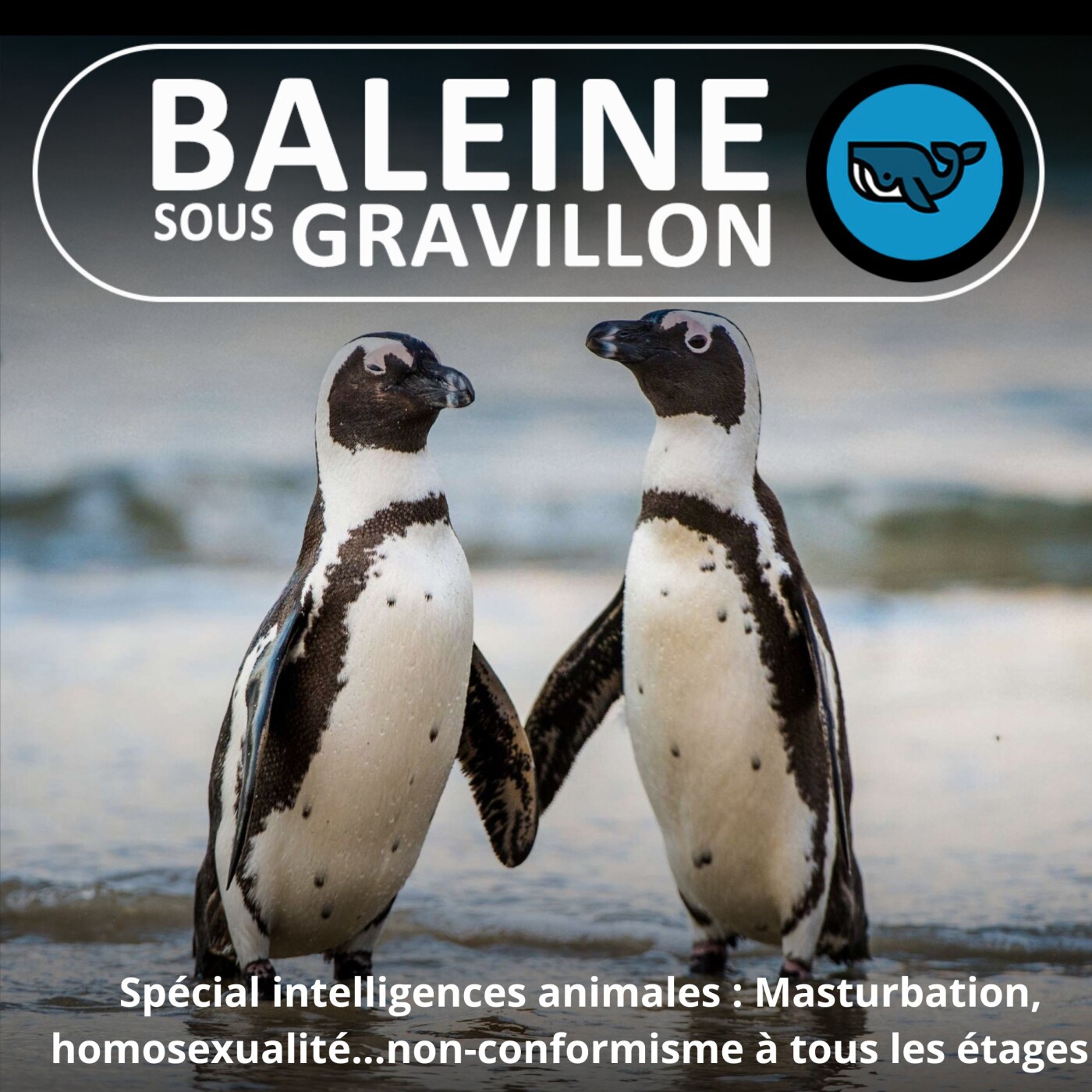 Podcast Cover