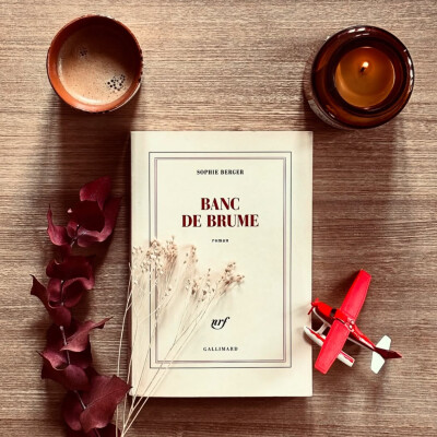 Banc de brume de Sophie Berger cover