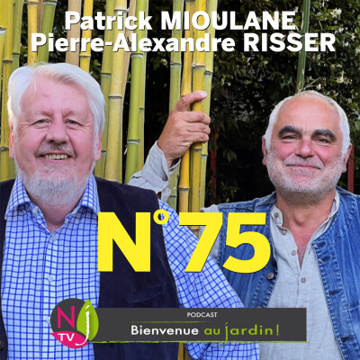 EMISSION #75 du 5 Novembre 2022 - L'INTEGRALE cover