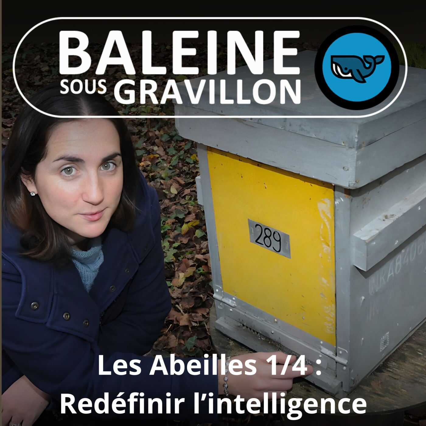 S02E113 L'intelligence des Abeilles 1/4 : vers une redéfinition de l'intelligence animale, Aurore Avarguès-Weber (chercheuse)