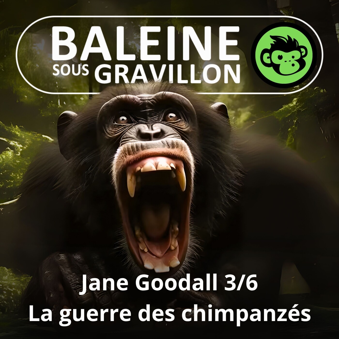 S07E23 Jane Goodall 3/6 : La guerre chez les chimpanzés (Emmanuelle Grundmann)