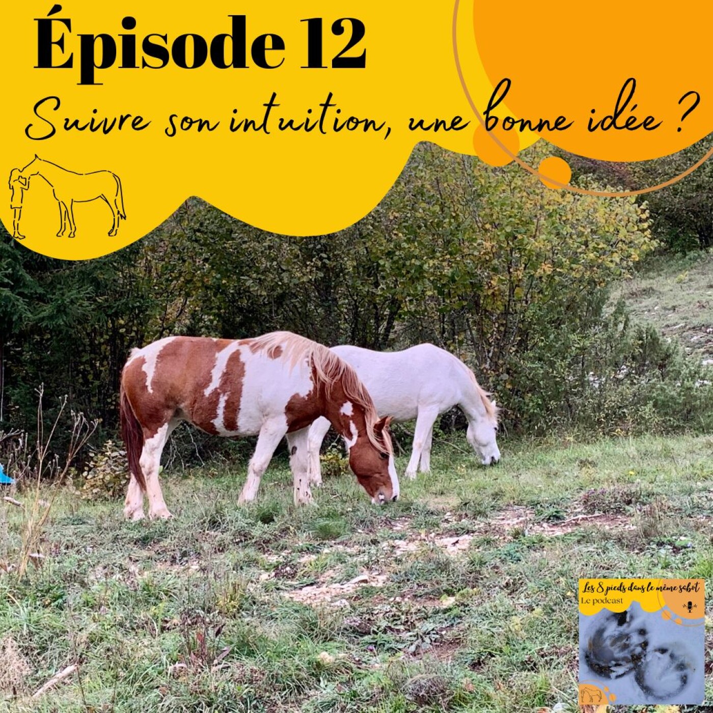 Les 8 pieds dans le même sabot