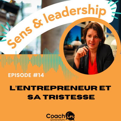 Episode #14 - L'entrepreneur et la tristesse cover