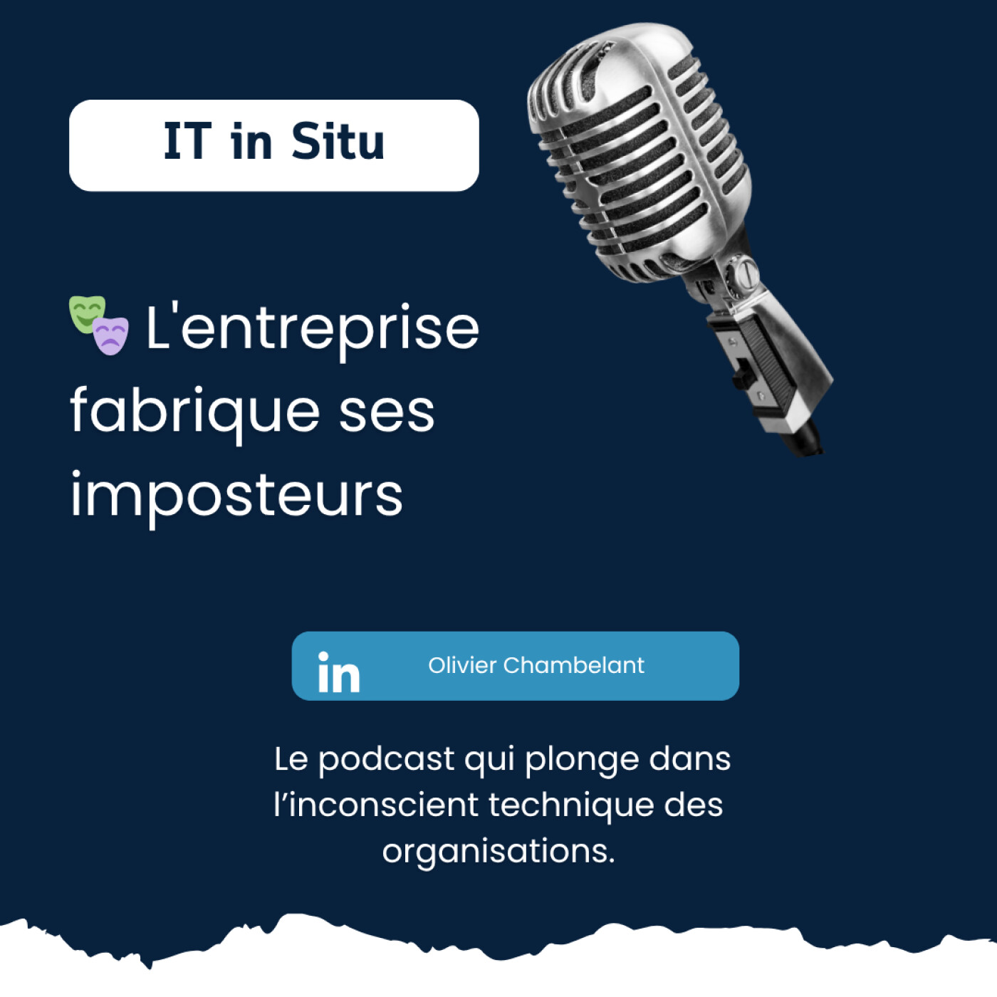 IT in Situ – Plongée dans l\'inconscient technique des organisations