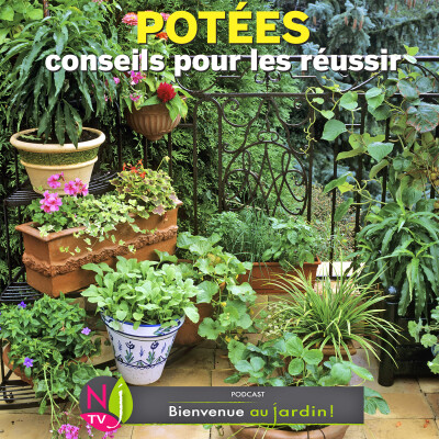 #84: PAROLES D'EXPERTS: COMMENT CRÉER UN BEAU DÉCOR VÉGÉTAL EN BAC OU EN POT cover
