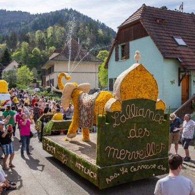 Mittlach : Election de la reine des Jonquilles cover