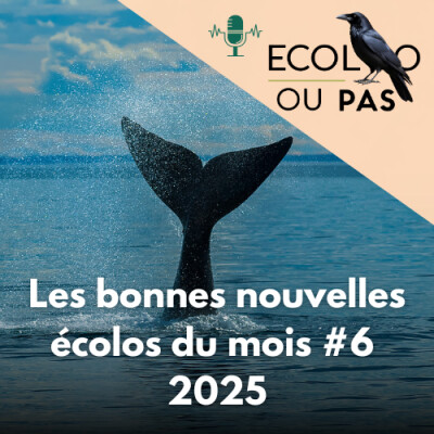 5 bonnes nouvelles écologiques d’octobre 2025 (et pourquoi ça redonne espoir) cover
