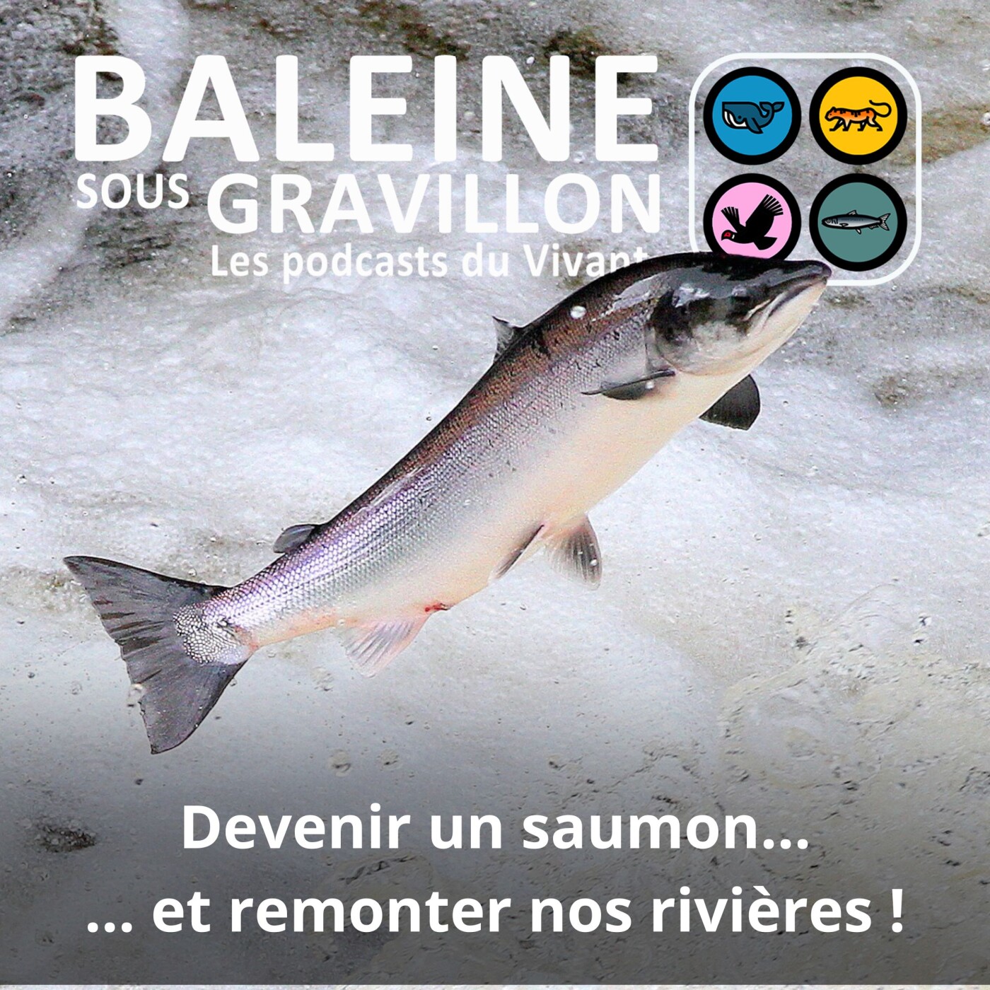 Attention : retrait des rediffs/best of d'été d'ici le 29 septembre... et quelques autres infos