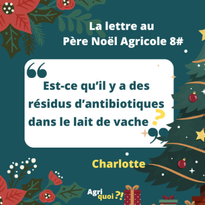 Lettre au Père Noël Agricole 8 : Est-ce qu'il y a des résidus d'antibiotiques dans le lait ? cover